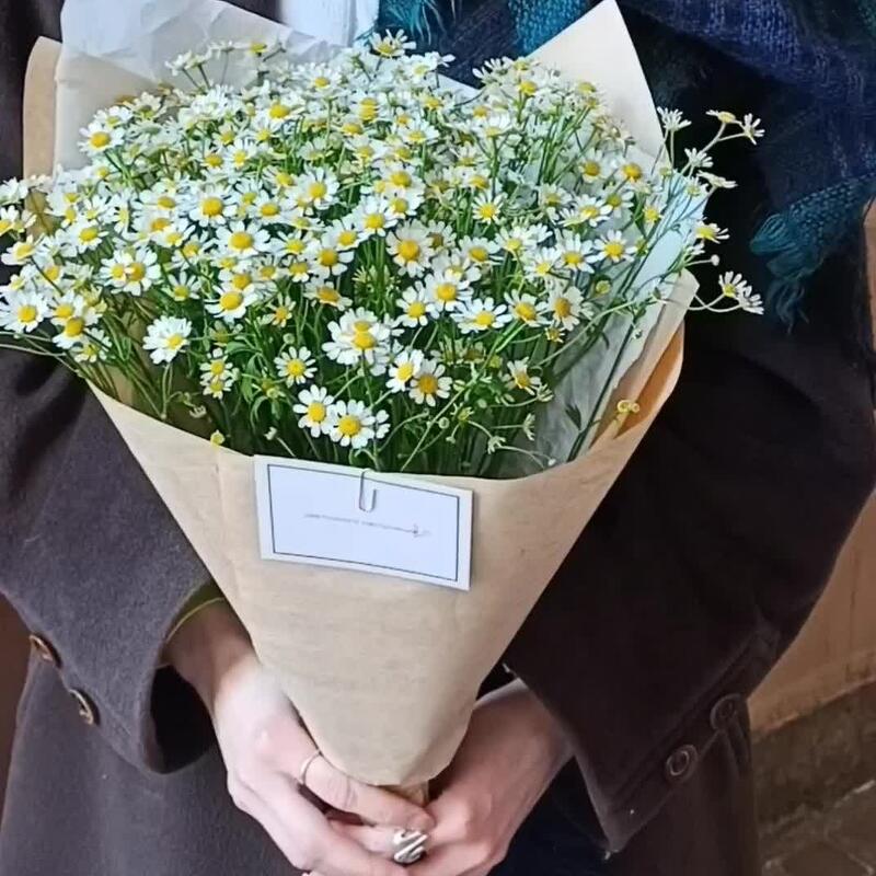 Привет, ромашка