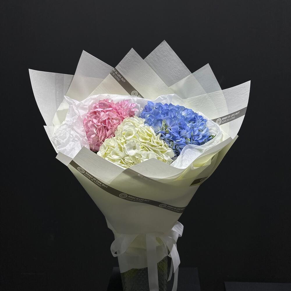 «Гармония гортензий»